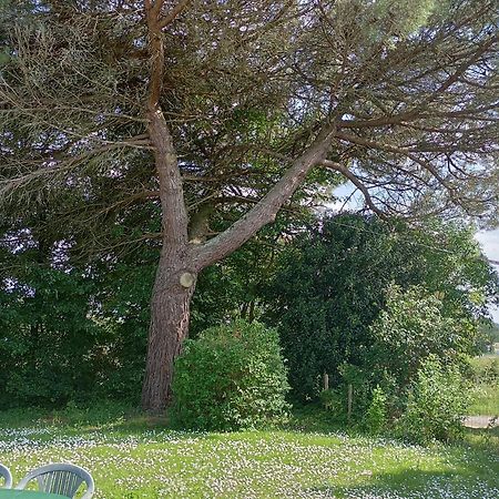 Gite Du Petit Gue Frossay Δωμάτιο φωτογραφία
